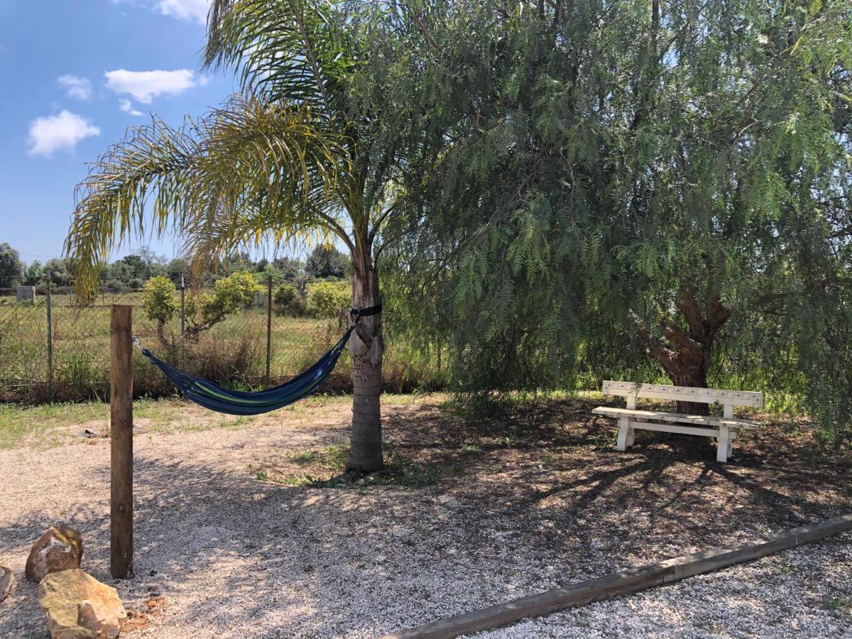 לינה וארוחת בוקר לגואה Casa Jardim Oasis מראה חיצוני תמונה